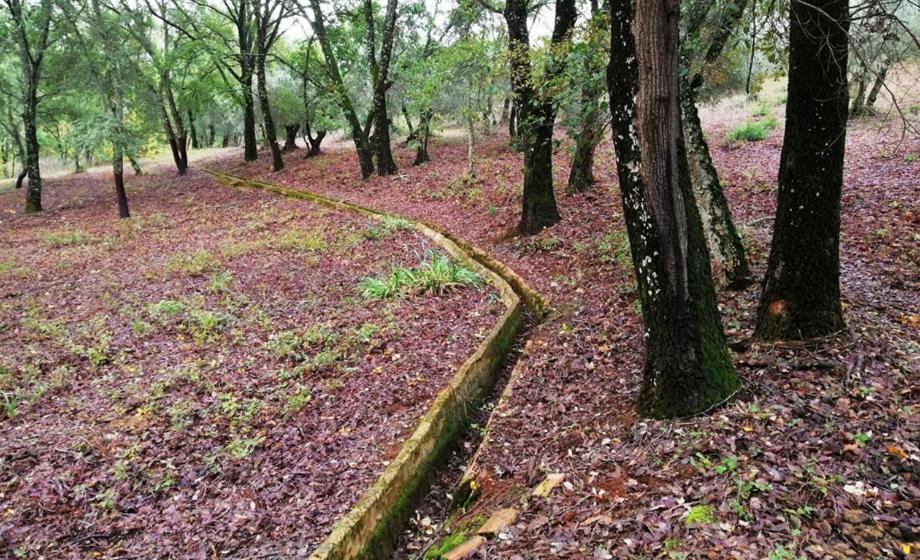 Finca La Liserilla Galaroza Exteriér fotografie