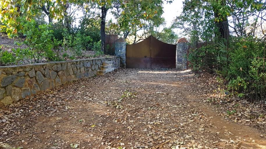 Finca La Liserilla Galaroza Exteriér fotografie